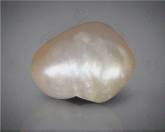  Pearl (Real) 1.69CTS-31036